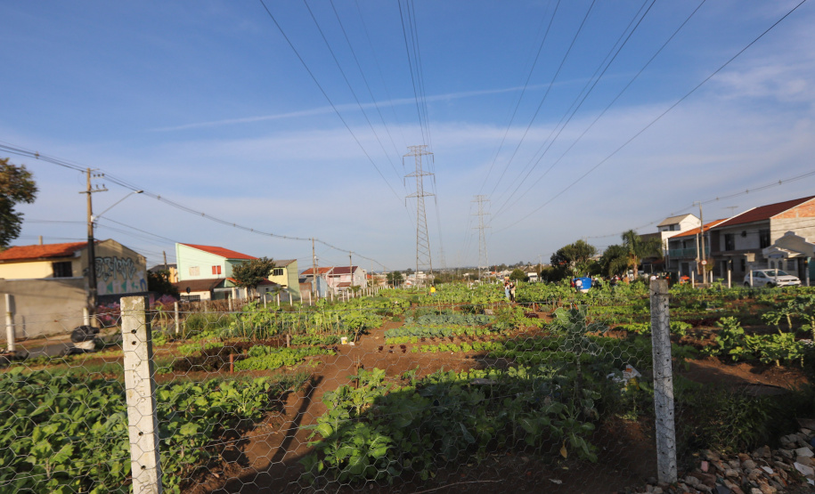 Visita a Horta Marumbi ?  A equipe da Secretaria da Agricultura e do Abastecimento do Paraná recebe equipe da SEAB Rondônia para apresentar soluçoes implantadas em Curitiba sobre o cultivo de alimentos. 03/09/2021 - Foto: Geraldo Bubniak/AEN