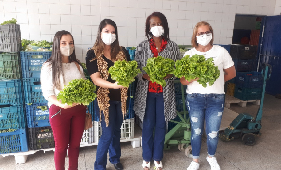 Visita a Horta Marumbi - A equipe da Secretaria da Agricultura e do Abastecimento do Paraná recebe equipe da SEAB Rondônia para apresentar soluções implantadas em Curitiba sobre o cultivo de alimentos. 03/09/2021 - Foto: SEAB