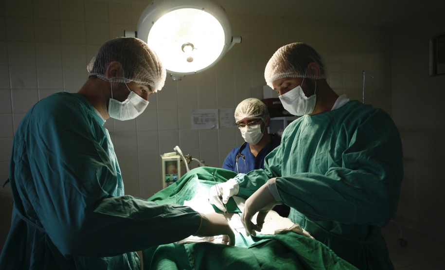 Paraná destina R$ 1.2 milhão para Hospitais Veterinários das Universidades Estaduais
Foto: UEM