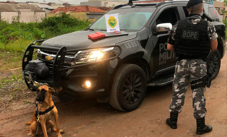 O trabalho integrado das Polícias Civil e Militar, coordenados pela Secretaria da Segurança Pública do Paraná (Sesp), no combate ao tráfico de drogas no Estado, resultou em um aumento de 13,56% na quantidade de drogas apreendidas (maconha, cocaína e crack), no primeiro semestre de 2021, se comparado ao mesmo período de 2020