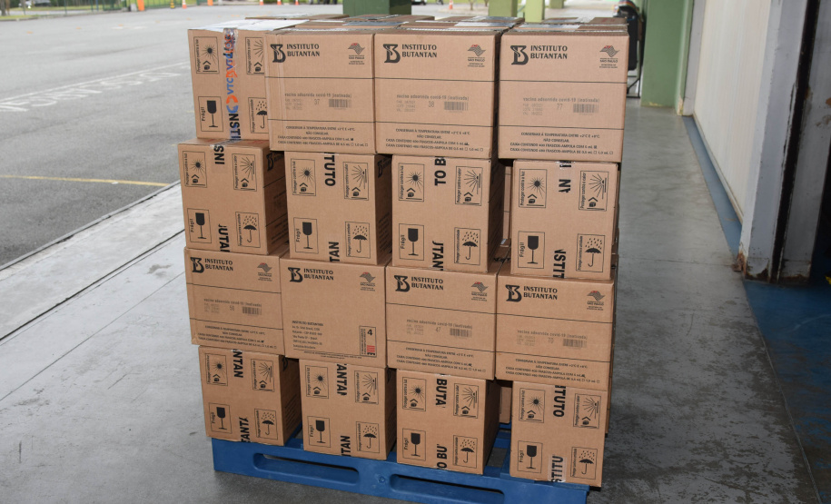 O Paraná recebeu mais 187.800 vacinas contra a Covid-19 da CoronaVac/Butantan neste sábado (4). As vacinas foram entregues no Centro de Medicamentos do Paraná (Cemepar) para conferência e armazenamento até que sejam descentralizados. A remessa faz parte da 47ª pauta de distribuição.  -  Curitiba, 04/09/2021  -  Foto: Américo Antonio/SESA