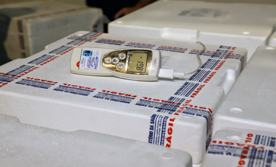 A Secretaria de Estado da Saúde recebeu nesta segunda-feira (6) mais 115.782 doses de vacinas contra a Covid-19. As doses da Pfizer/BioNTech desembarcaram no Aeroporto Internacional Afonso Pena, em São José dos Pinhais, às 15h30, no voo LA4791 e são referente à 53% da segunda dose (D2) da 28ª pauta.  -  Curitiba, 06/09/2021  -  Foto: Ari Dias/AEN