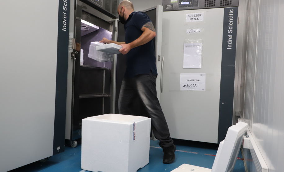 A Secretaria de Estado da Saúde recebeu nesta segunda-feira (6) mais 115.782 doses de vacinas contra a Covid-19. As doses da Pfizer/BioNTech desembarcaram no Aeroporto Internacional Afonso Pena, em São José dos Pinhais, às 15h30, no voo LA4791 e são referente à 53% da segunda dose (D2) da 28ª pauta.  -  Curitiba, 06/09/2021  -  Foto: Ari Dias/AEN