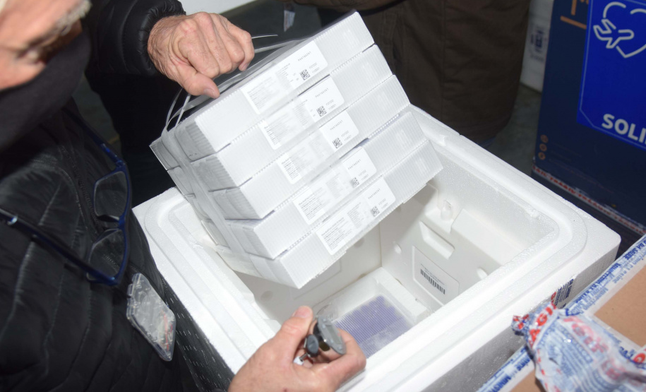 Foto:Américo Antonio/SESA