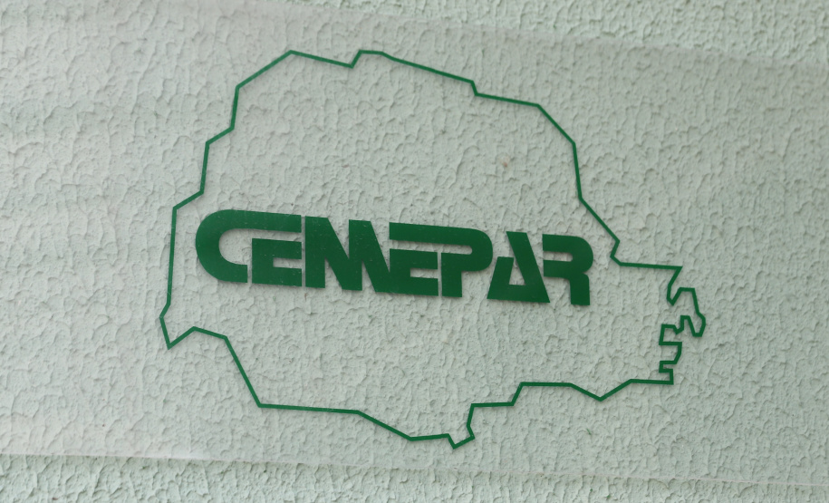 Chegada Vacina 156.828 imunizantes da Pfizer/BioNTech chegam no Centro de Medicamentos do Paraná (Cemepar), em Curitiba, na tarde desta quarta-feira (8). Foto: Geraldo Bubniak/AEN