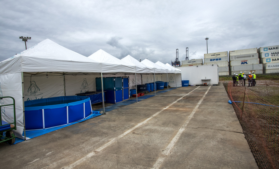 Unidade Móvel de Proteção à Fauna  -  Paranaguá, 09/09/2021  -  Foto: Claudio Neves/Portos do Paraná
