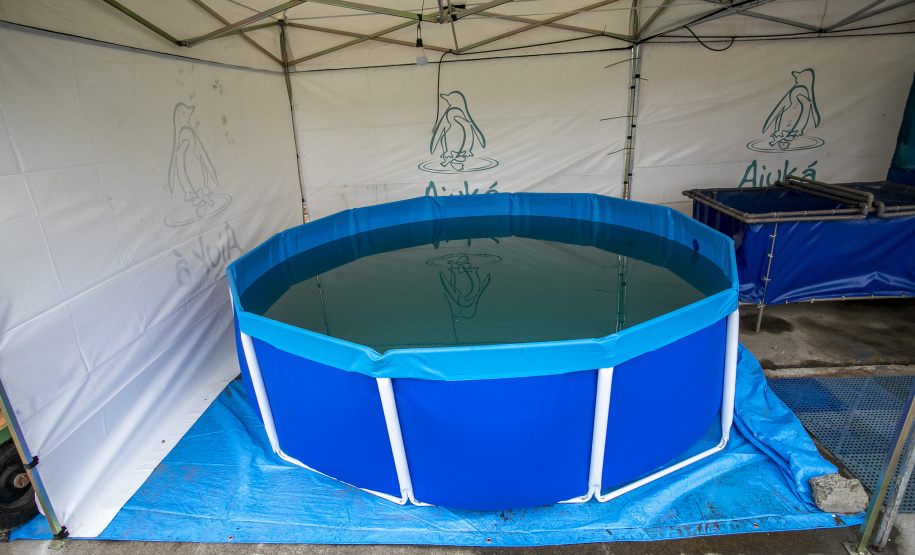 Unidade Móvel de Proteção à Fauna  -  Paranaguá, 09/09/2021  -  Foto: Claudio Neves/Portos do Paraná