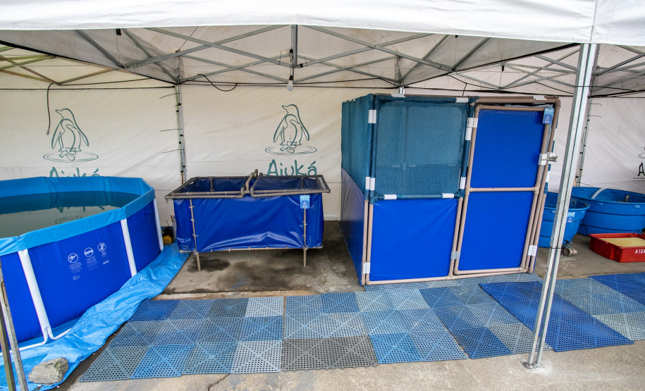 Unidade Móvel de Proteção à Fauna  -  Paranaguá, 09/09/2021  -  Foto: Claudio Neves/Portos do Paraná