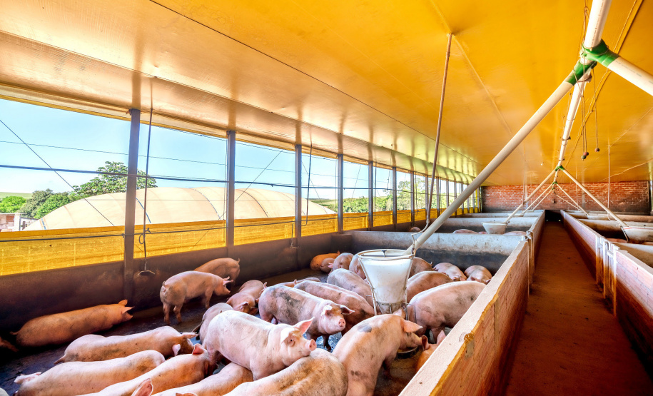 Copel e Itaipu colocam microrrede em operação no Oeste do PR  -  Foto: Alexandre Marchetti/Copel