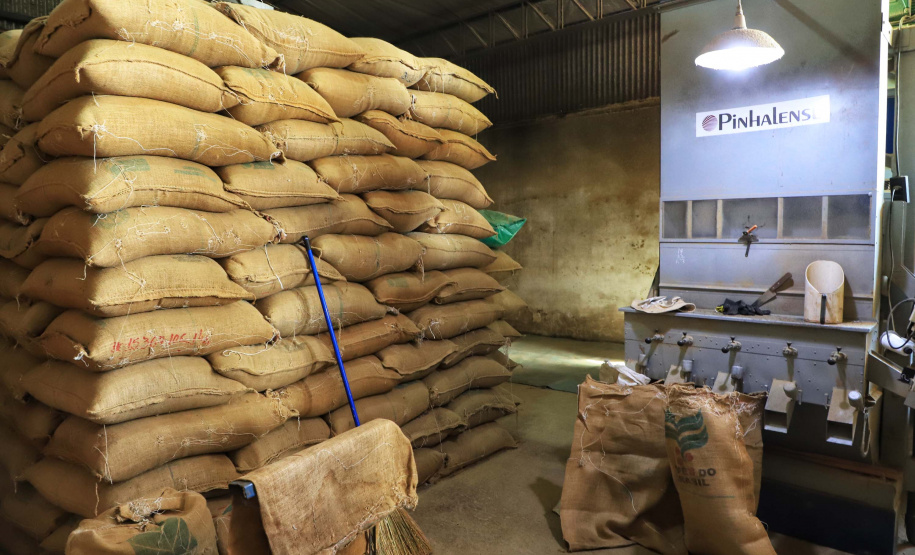 Plantação de café em Carlópolis. 07/2021 . Foto: José Fernando Ogura/AEN