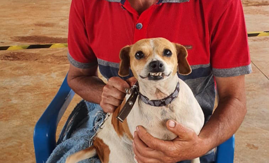O Programa Permanente de Esterilização de Cães e Gatos (CastraPet Paraná)se despede do município de Boa Ventura de São Roque, no Centro do Estado,nessa sexta-feira (10) com o dever cumprido. - Curitiba, 10/09/2021 - Foto: SEDEST