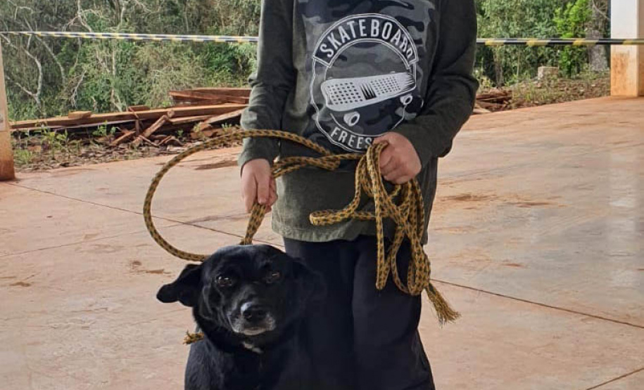 O Programa Permanente de Esterilização de Cães e Gatos (CastraPet Paraná)se despede do município de Boa Ventura de São Roque, no Centro do Estado,nessa sexta-feira (10) com o dever cumprido. - Curitiba, 10/09/2021 - Foto: SEDEST