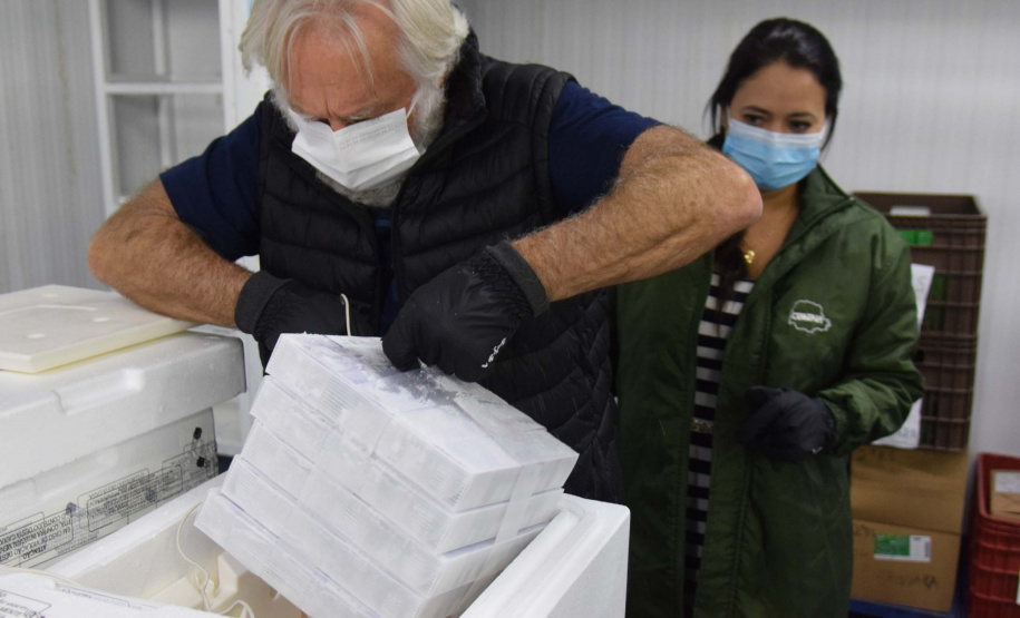 Paraná recebe mais 303 mil vacinas contra a Covid-19 para primeira dose. Foto: Américo Antonio/SESA