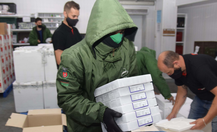 Paraná recebe mais 303 mil vacinas contra a Covid-19 para primeira dose. Foto: Américo Antonio/SESA