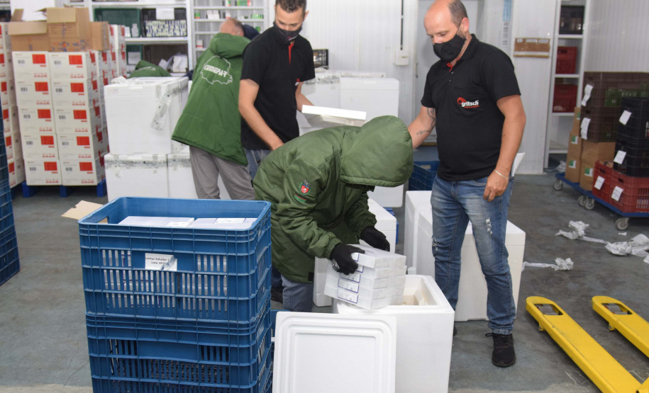 Paraná recebe mais 303 mil vacinas contra a Covid-19 para primeira dose. Foto: Américo Antonio/SESA