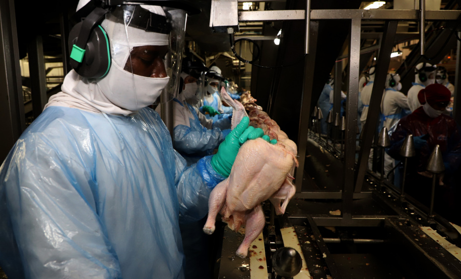 Jaguá Frangos. Jaguapitã 04/2021. Foto: Ari Dias/AEN