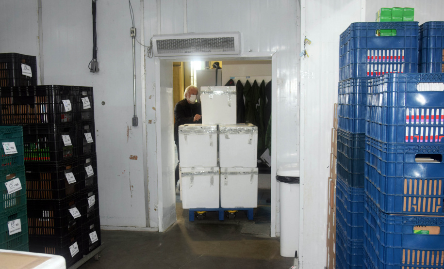 A Secretaria de Estado da Saúde (Sesa) recebeu mais 63.180 vacinas contra a Covid-19 da Pfizer/BioNTech nesta quarta-feira (15). O voo LA-3443 desembarcou no Aeroporto Internacional Afonso Pena, em São José dos Pinhais, às 12h55.-  Curitiba, 15/09/2021  -  Foto: Américo Antonio/SESA