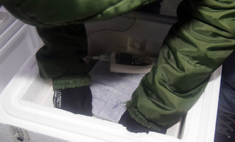 A Secretaria de Estado da Saúde (Sesa) recebeu mais 63.180 vacinas contra a Covid-19 da Pfizer/BioNTech nesta quarta-feira (15). O voo LA-3443 desembarcou no Aeroporto Internacional Afonso Pena, em São José dos Pinhais, às 12h55.-  Curitiba, 15/09/2021  -  Foto: Américo Antonio/SESA