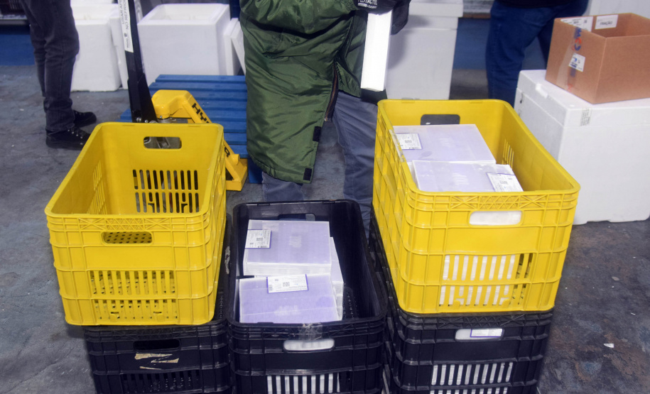 A Secretaria de Estado da Saúde (Sesa) recebeu mais 63.180 vacinas contra a Covid-19 da Pfizer/BioNTech nesta quarta-feira (15). O voo LA-3443 desembarcou no Aeroporto Internacional Afonso Pena, em São José dos Pinhais, às 12h55.-  Curitiba, 15/09/2021  -  Foto: Américo Antonio/SESA