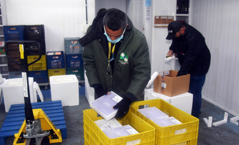 A Secretaria de Estado da Saúde (Sesa) recebeu mais 63.180 vacinas contra a Covid-19 da Pfizer/BioNTech nesta quarta-feira (15). O voo LA-3443 desembarcou no Aeroporto Internacional Afonso Pena, em São José dos Pinhais, às 12h55.-  Curitiba, 15/09/2021  -  Foto: Américo Antonio/SESA