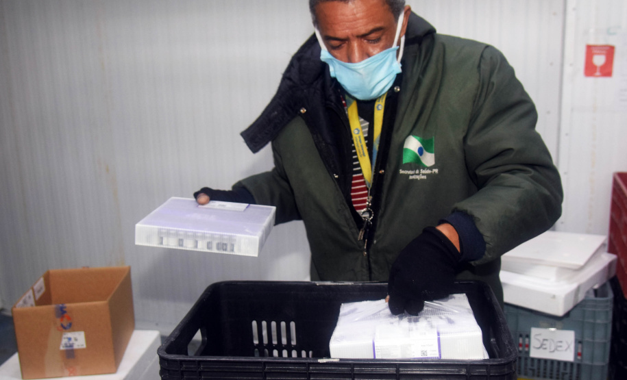 A Secretaria de Estado da Saúde (Sesa) recebeu mais 63.180 vacinas contra a Covid-19 da Pfizer/BioNTech nesta quarta-feira (15). O voo LA-3443 desembarcou no Aeroporto Internacional Afonso Pena, em São José dos Pinhais, às 12h55.-  Curitiba, 15/09/2021  -  Foto: Américo Antonio/SESA