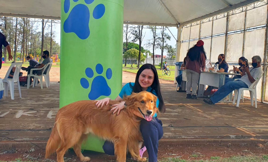 209 animais foram atendidos no Programa Permanente de Esterilização deCães e Gatos (CastraPet Paraná), em Arapongas, no Norte-CentralParanaense. A ação começou no domingo (12) e terminou nessa quarta-feira(15). - Curitiba, 15/09/2021 - Foto: SEDEST