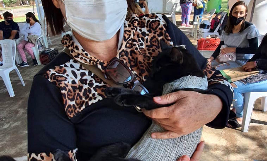 209 animais foram atendidos no Programa Permanente de Esterilização deCães e Gatos (CastraPet Paraná), em Arapongas, no Norte-CentralParanaense. A ação começou no domingo (12) e terminou nessa quarta-feira(15). - Curitiba, 15/09/2021 - Foto: SEDEST