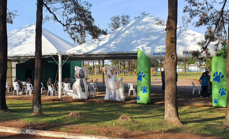 209 animais foram atendidos no Programa Permanente de Esterilização deCães e Gatos (CastraPet Paraná), em Arapongas, no Norte-CentralParanaense. A ação começou no domingo (12) e terminou nessa quarta-feira(15). - Curitiba, 15/09/2021 - Foto: SEDEST
