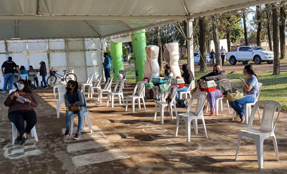 209 animais foram atendidos no Programa Permanente de Esterilização deCães e Gatos (CastraPet Paraná), em Arapongas, no Norte-CentralParanaense. A ação começou no domingo (12) e terminou nessa quarta-feira(15). - Curitiba, 15/09/2021 - Foto: SEDEST