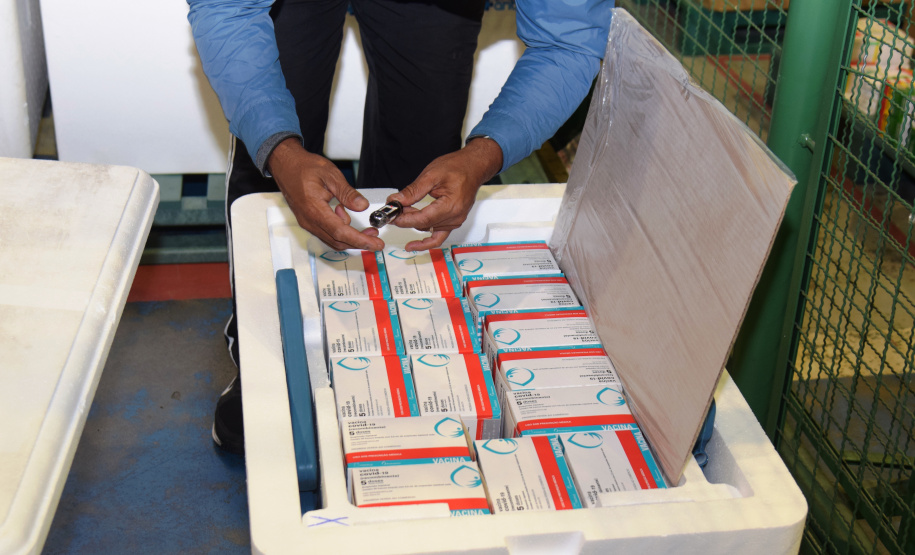 Ministério da Saúde anuncia mais de 324 mil vacinas contra a Covid-19 ao Paraná. Foto: Américo Antonio/SESA