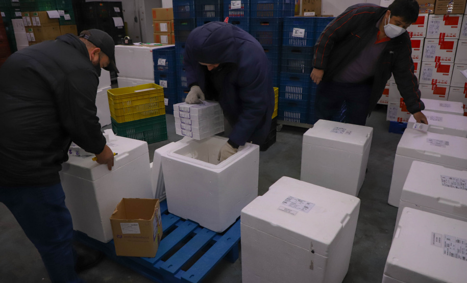 Governo do Estado do Parana recebe mais um lote de vacinas.Foto:Ari Dias/AEN