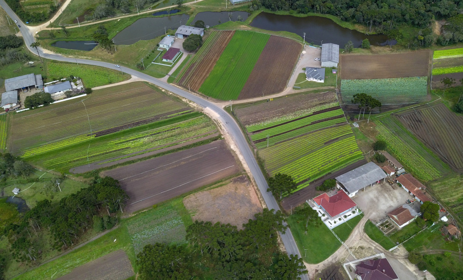 O produtor Bruno Schules, 32, de São José dos Pinhais, na Região Metropolitana de Curitiba (RMC), é um dos agricultores que trabalham com olericultura no Estado e recebem atendimento da Emater. - São José dos Pinhais, 04/04/2019 - Foto: José Fernando Ogura/ANPr