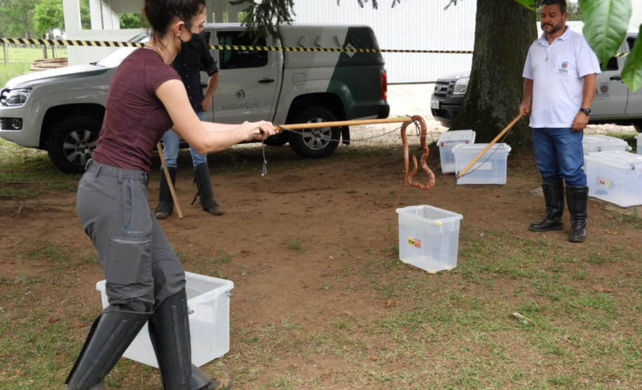 O Instituto Água e Terra (IAT), órgão vinculado à Secretaria de Estado do Desenvolvimento Sustentável e do Turismo (SEDEST), realizará o treinamento de voluntários interessados a participarem do Programa de Cuidados e Reabilitação Intensiva de Animais Silvestres (CRIA).  -  Curitiba, 16/09/2021  -  Foto: IAT