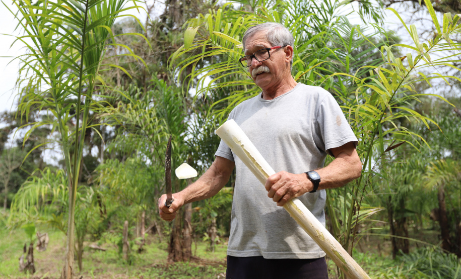 PARANA AGRO - Produçao de Palmito na cidade de Guaraquecaba no litoral do Estado. Na foto, o agricultor Francelino Guilherme Cogrossi - 13/09/21 - Foto: Geraldo Bubniak/AEN