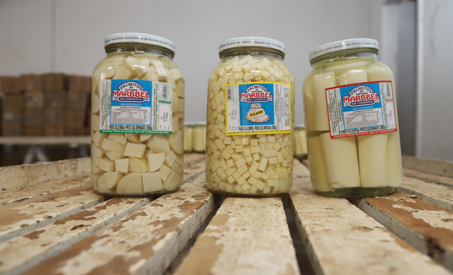 PARANA AGRO - Produçao de Palmito na cidade de Guaraquecaba no litoral do Estado. Empresa Marbell que realiza o envasamento do Palmito Pupunha  13/09/21 - Foto: Geraldo Bubniak/AEN