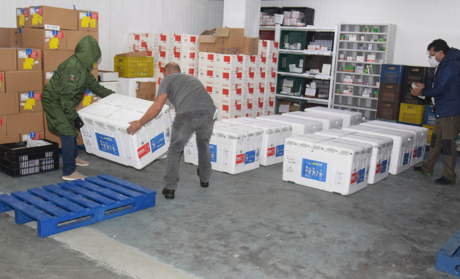 O Paraná recebeu no início da tarde deste sábado (18) mais 363.800 vacinas contra a Covid-19 da CoronaVac. A Secretaria de Estado da Saúde confirmou a chegada ao Estado de duas remessas, que desembarcaram no aeroporto Afonso Pena, em São José dos Pinhais, às 12h55, no voo LA 3443, e às 13h55, no voo AD 4830. -  Curitiba, 18/09/2021  -  Foto: Américo Antonio/SESA