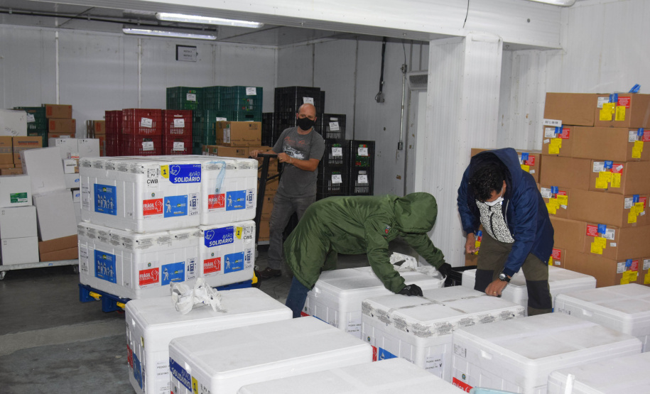 O Paraná recebeu no início da tarde deste sábado (18) mais 363.800 vacinas contra a Covid-19 da CoronaVac. A Secretaria de Estado da Saúde confirmou a chegada ao Estado de duas remessas, que desembarcaram no aeroporto Afonso Pena, em São José dos Pinhais, às 12h55, no voo LA 3443, e às 13h55, no voo AD 4830. -  Curitiba, 18/09/2021  -  Foto: Américo Antonio/SESA