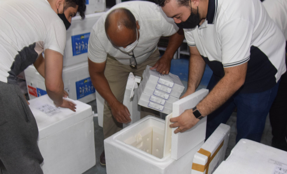 A Secretaria de Estado da Saúde (Sesa) recebeu neste domingo (19) mais 348.660 vacinas contra a Covid-19 da Pfizer/BioNTech. - Curitiba, 19/09/2021 - Foto: Américo Antonio/SESA
