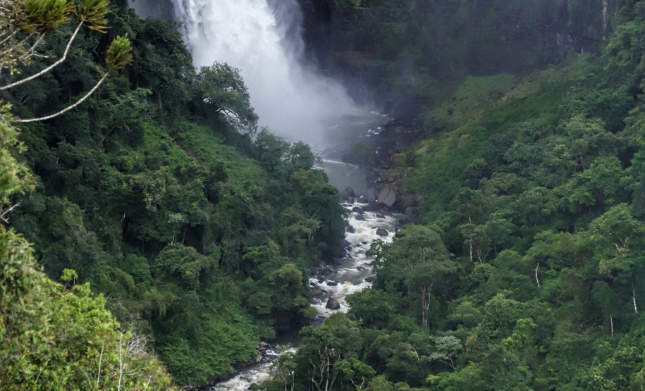 Salto São João. Prudentópolis - 02-2021