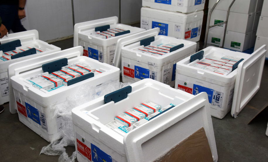 Com a ajuda das vacinas contra a Covid-19 que o Paraná recebeu nesta segunda-feira (20), a Secretaria de Estado da Saúde dará início a mais uma etapa da campanha de vacinação com a aplicação das doses de reforço (terceira dose).. Foto: Américo Antonio/SESA