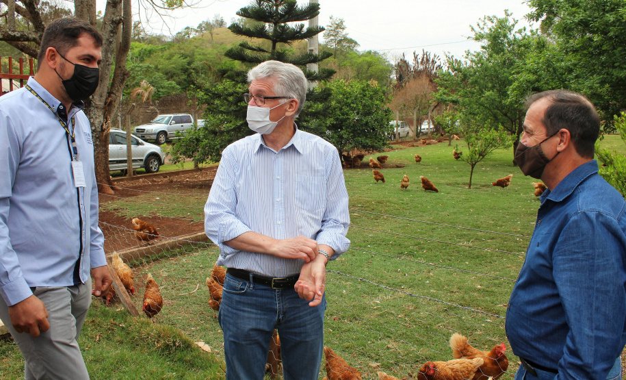O trabalho de um consórcio intermunicipal e o apoio do governo estadual estão ajudando a fortalecer a agricultura familiar na região do Vale do Ivaí, no Norte do Paraná