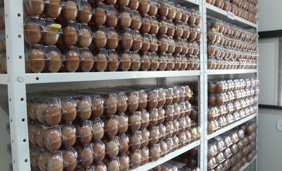 O trabalho de um consórcio intermunicipal e o apoio do governo estadual estão ajudando a fortalecer a agricultura familiar na região do Vale do Ivaí, no Norte do Paraná