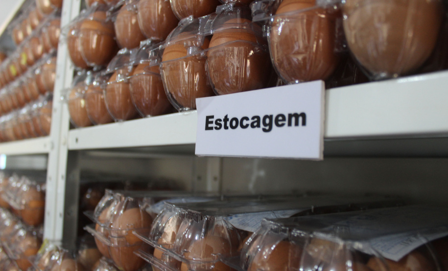 O trabalho de um consórcio intermunicipal e o apoio do governo estadual estão ajudando a fortalecer a agricultura familiar na região do Vale do Ivaí, no Norte do Paraná