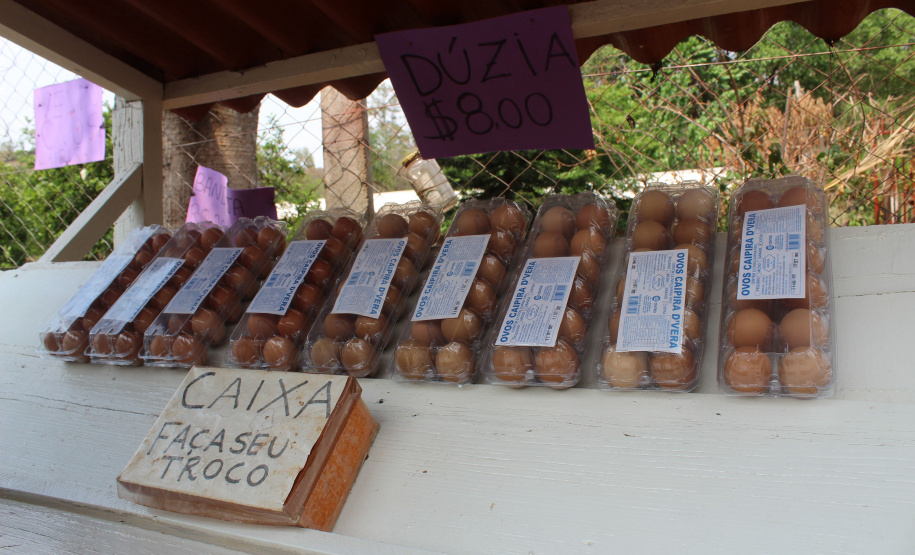 O trabalho de um consórcio intermunicipal e o apoio do governo estadual estão ajudando a fortalecer a agricultura familiar na região do Vale do Ivaí, no Norte do Paraná