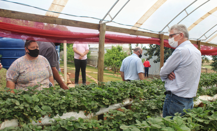 O trabalho de um consórcio intermunicipal e o apoio do governo estadual estão ajudando a fortalecer a agricultura familiar na região do Vale do Ivaí, no Norte do Paraná