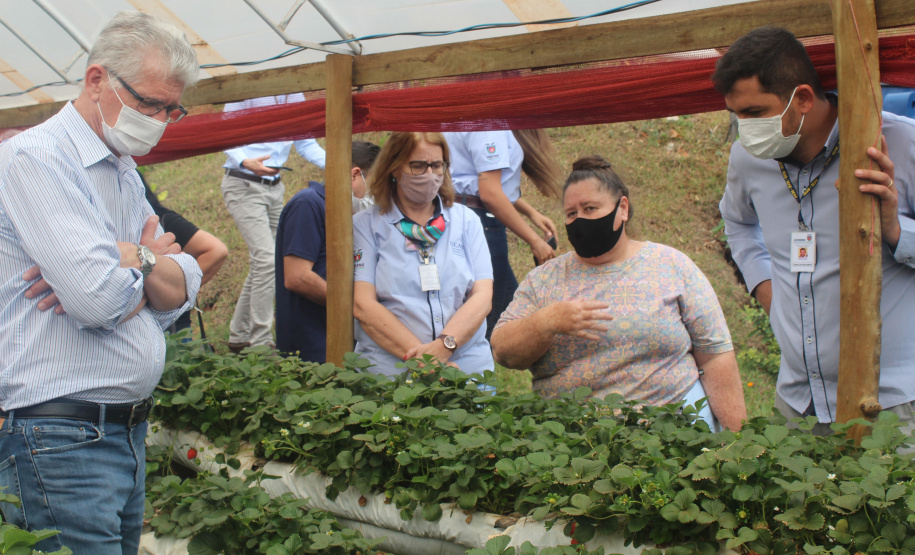 O trabalho de um consórcio intermunicipal e o apoio do governo estadual estão ajudando a fortalecer a agricultura familiar na região do Vale do Ivaí, no Norte do Paraná