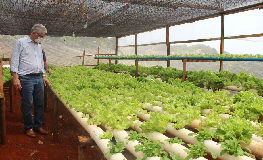 O trabalho de um consórcio intermunicipal e o apoio do governo estadual estão ajudando a fortalecer a agricultura familiar na região do Vale do Ivaí, no Norte do Paraná
