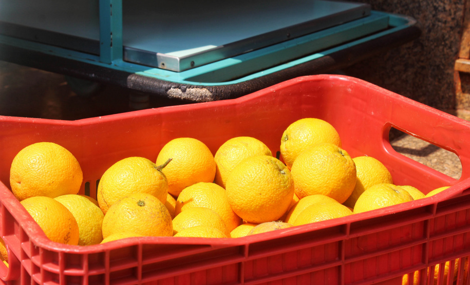 O trabalho de um consórcio intermunicipal e o apoio do governo estadual estão ajudando a fortalecer a agricultura familiar na região do Vale do Ivaí, no Norte do Paraná