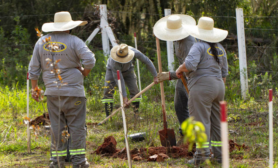 Serão plantadas mais 130 mil mudas de árvores visando a recuperação ambiental das barragens  -  Curitiba, 21/09/2021  -  Foto: André Thiago/Sanepar