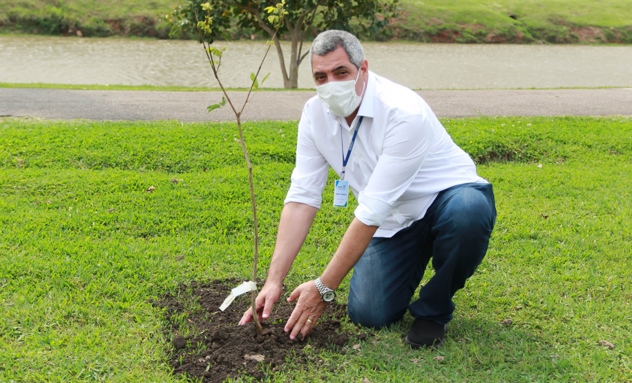 Nesta terça-feira (21), o Dia da Árvore foi comemorado em diversos municípios do Paraná com a distribuição e plantio de mais de 400 mil mudas de espécies nativas. As mudas foram distribuídas pelo Instituto Água e Terra (IAT) que possui 19 viveiros florestais e dois laboratórios de sementes de árvores nativas. Foto: Alessandro Vieira/SEDEST